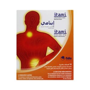 ITAMI 140 MG PLASTER 10'S
